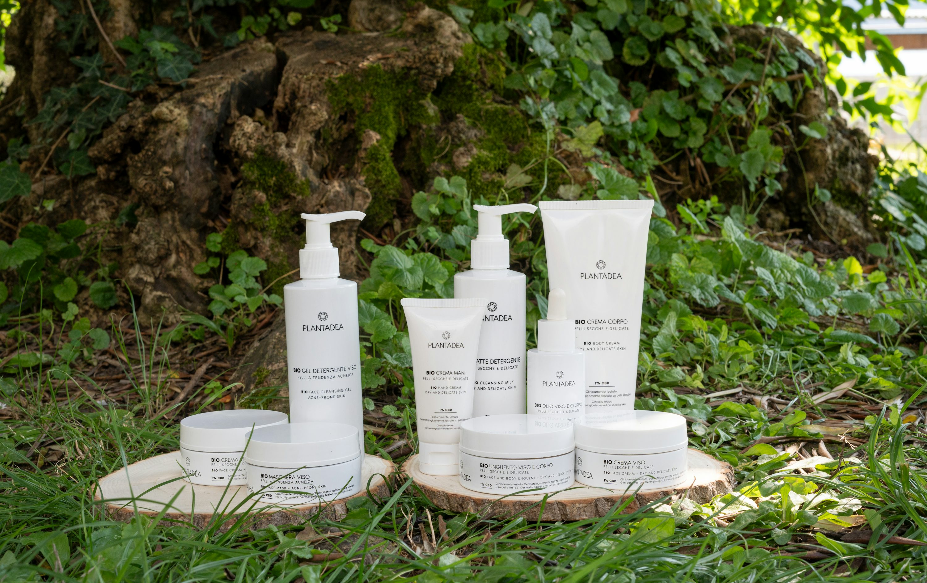 Illustrative skincare bottles arranged outdoors